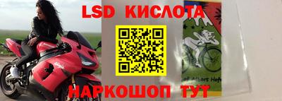 эйфоретик Берёзовский