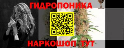 a pvp Бийск
