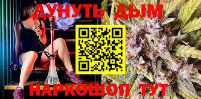 a pvp Бийск