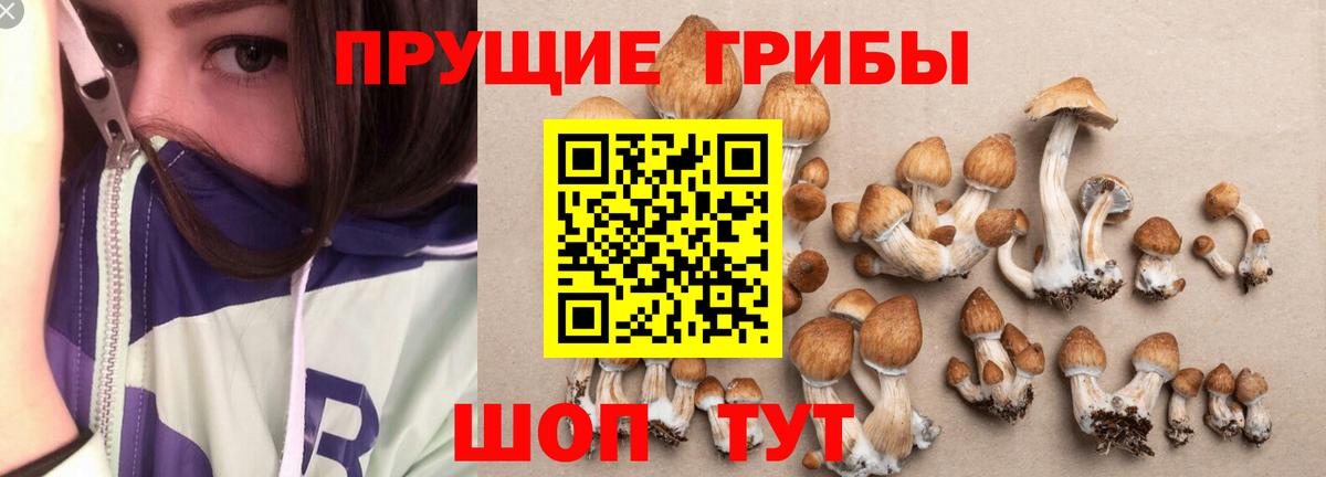 Галлюциногенные грибы прущие грибы  Вход с VPN  Канаш 